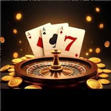 23win23